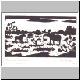 237-elche-im-moosbruch.jpg